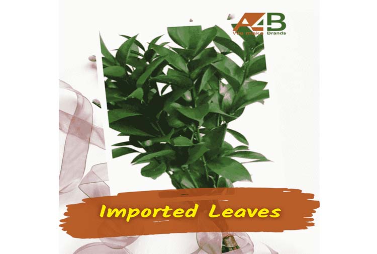 Buy Imported Fillers & Leaves Online at ask4brand.com