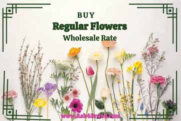 Buy Regular Flower Online at ask4brand.com